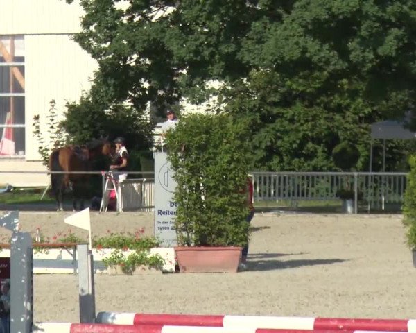 Reitturnier Rot am See-Musdorf 2016