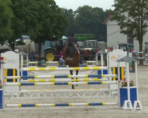Reitturnier Rot am See-Musdorf 2016