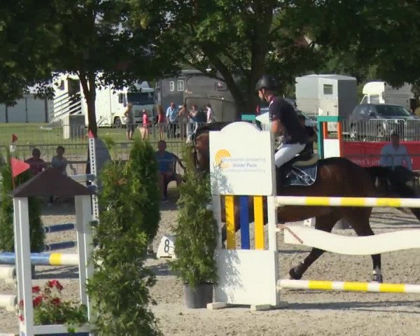 Reitturnier Rot am See-Musdorf 2016
