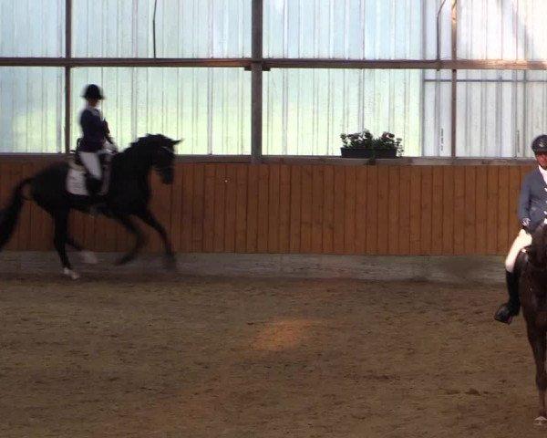 Großes Reit- und Springturnier Herbern 2016