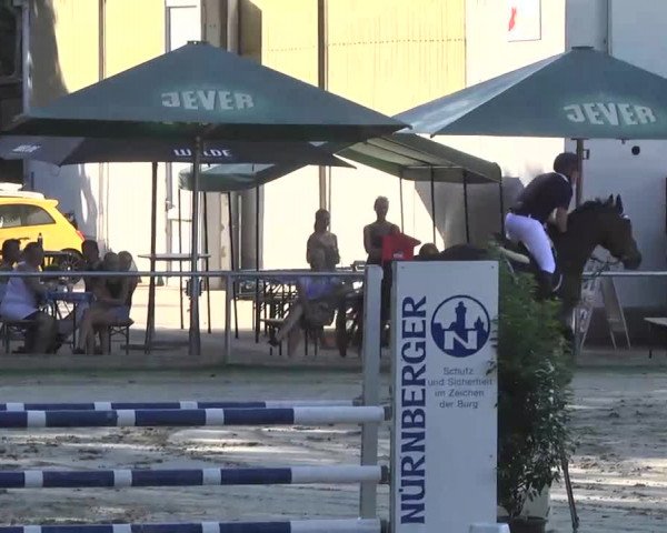 Reitturnier Schwetzingen 2016