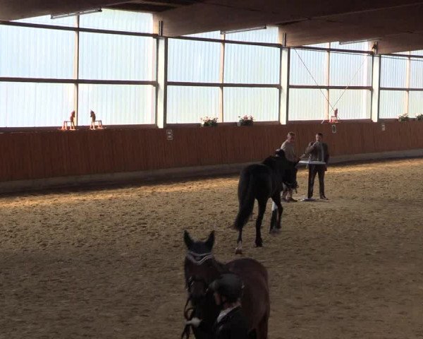 Großes Reit- und Springturnier Herbern 2016