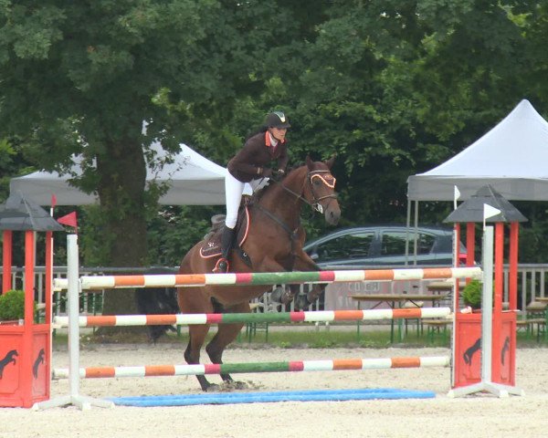 Reitturnier Rot am See-Musdorf 2016