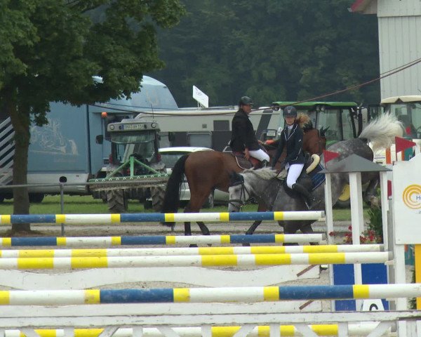 Reitturnier Rot am See-Musdorf 2016