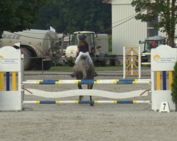 Reitturnier Rot am See-Musdorf 2016