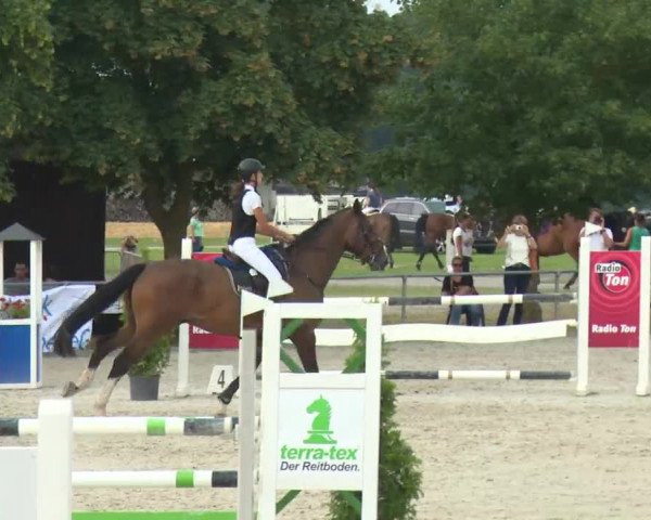 Reitturnier Rot am See-Musdorf 2016