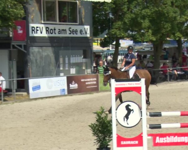 Reitturnier Rot am See-Musdorf 2016
