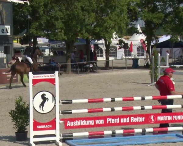 Reitturnier Rot am See-Musdorf 2016