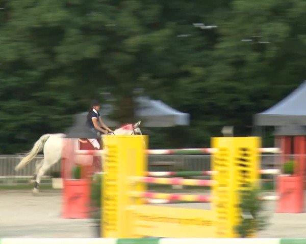Reitturnier Rot am See-Musdorf 2016