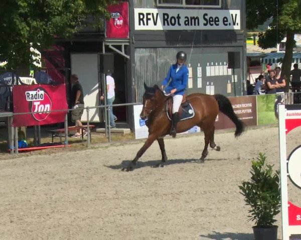 Reitturnier Rot am See-Musdorf 2016
