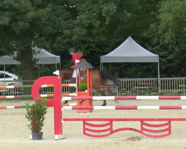 Reitturnier Rot am See-Musdorf 2016