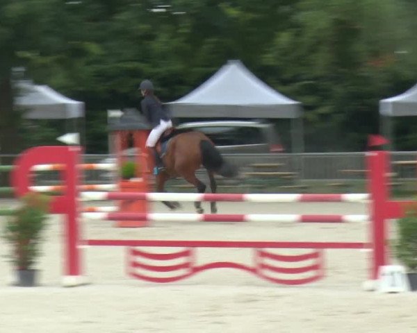 Reitturnier Rot am See-Musdorf 2016