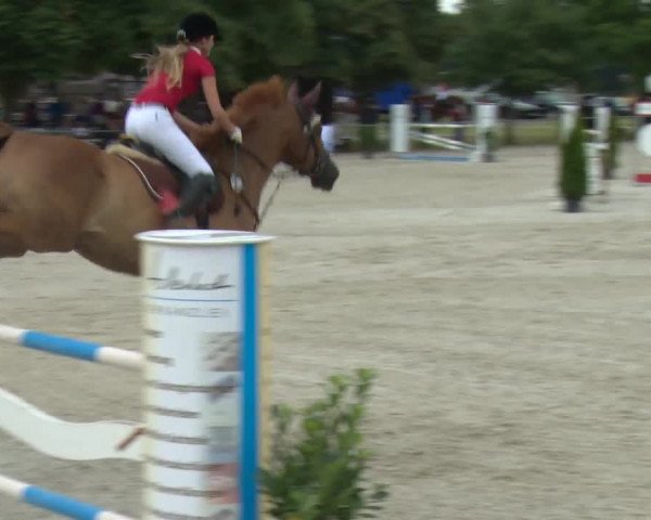 Reitturnier Rot am See-Musdorf 2016