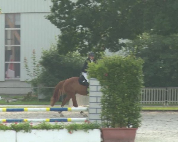 Reitturnier Rot am See-Musdorf 2016