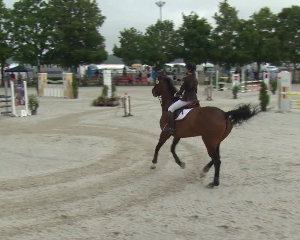 Reitturnier Rot am See-Musdorf 2016