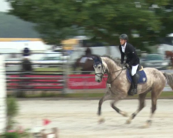 Reitturnier Rot am See-Musdorf 2016