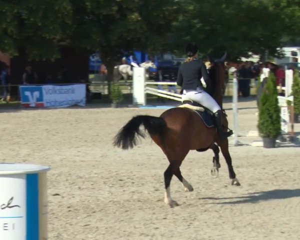 Reitturnier Rot am See-Musdorf 2016