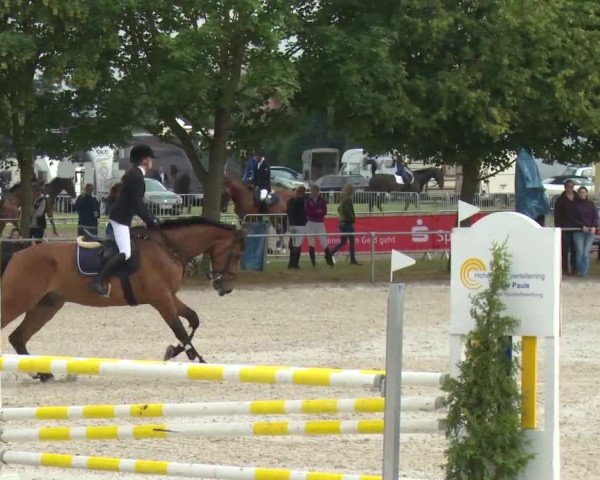 Reitturnier Rot am See-Musdorf 2016