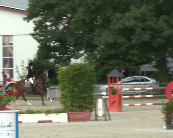 Reitturnier Rot am See-Musdorf 2016
