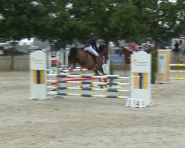 Reitturnier Rot am See-Musdorf 2016