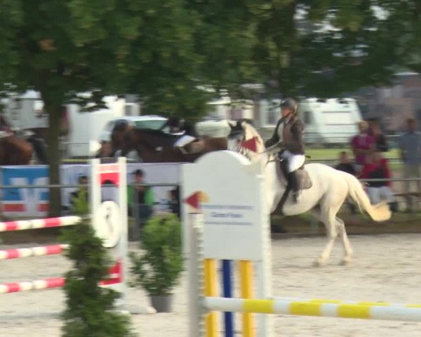Reitturnier Rot am See-Musdorf 2016