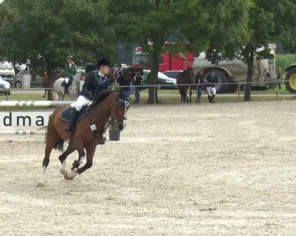 Reitturnier Rot am See-Musdorf 2016
