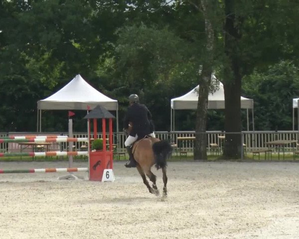 Reitturnier Rot am See-Musdorf 2016