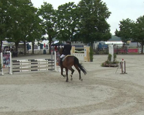 Reitturnier Rot am See-Musdorf 2016