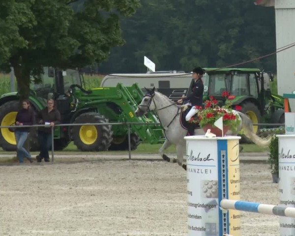 Reitturnier Rot am See-Musdorf 2016