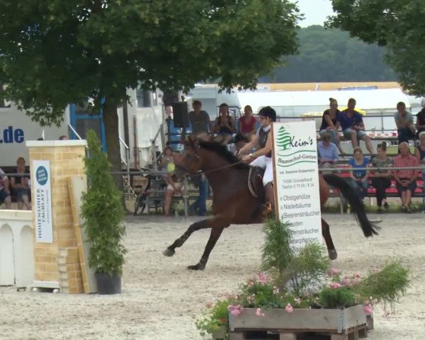 Reitturnier Rot am See-Musdorf 2016