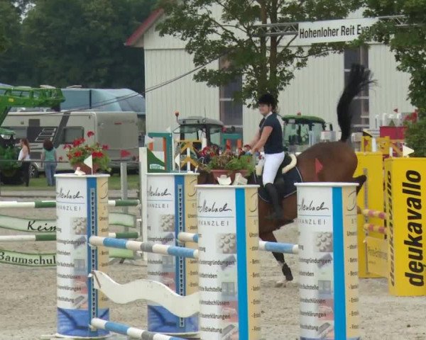 Reitturnier Rot am See-Musdorf 2016