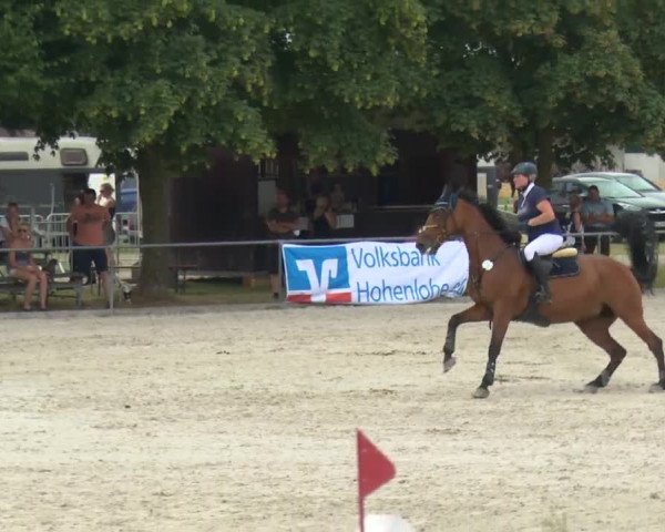 Reitturnier Rot am See-Musdorf 2016