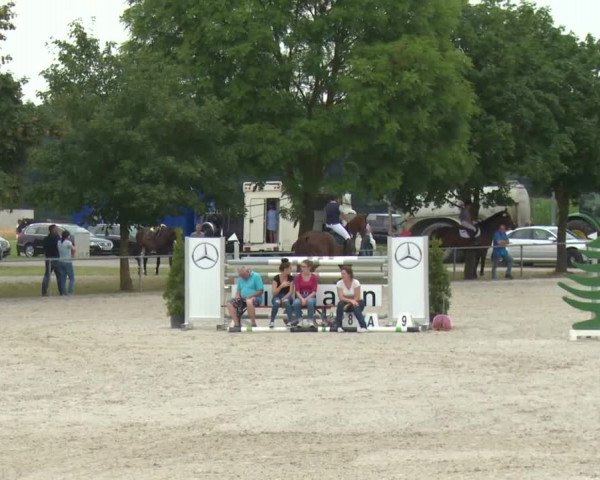 Reitturnier Rot am See-Musdorf 2016