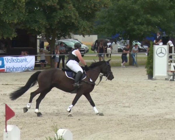 Reitturnier Rot am See-Musdorf 2016