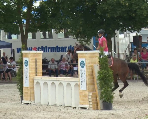 Reitturnier Rot am See-Musdorf 2016