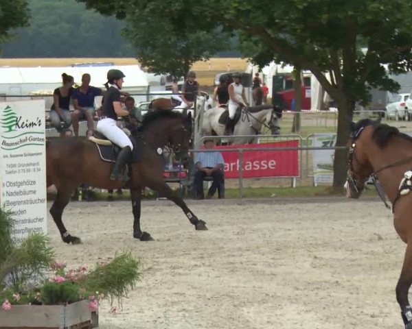 Reitturnier Rot am See-Musdorf 2016