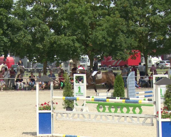 Reitturnier Rot am See-Musdorf 2016
