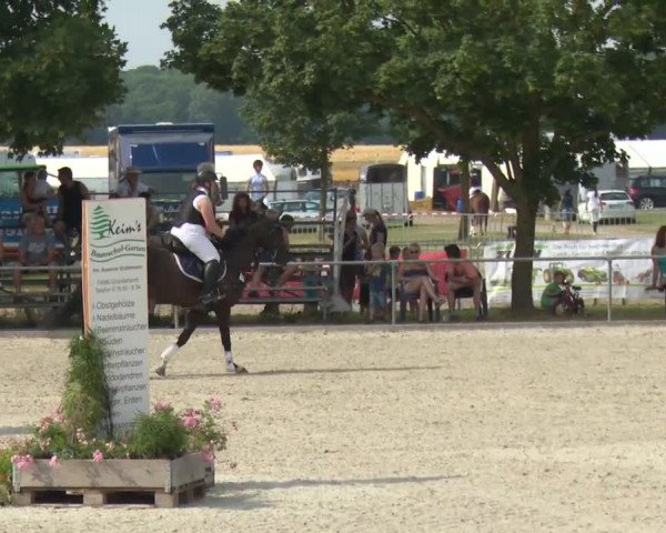 Reitturnier Rot am See-Musdorf 2016