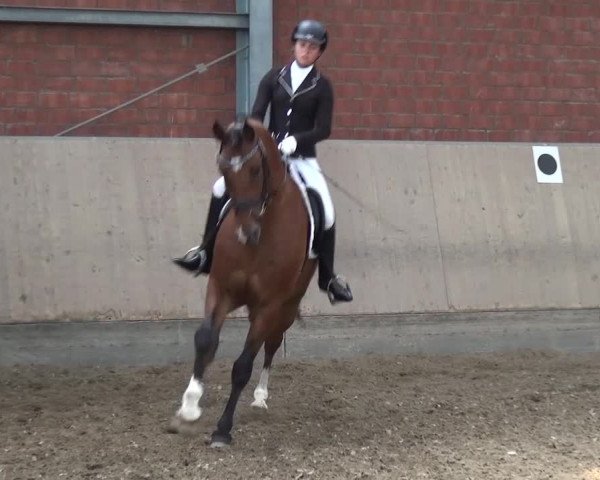 Sommerturnier Neuss-Allerheiligen 2016