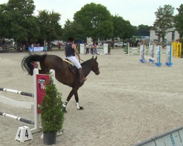 Reitturnier Rot am See-Musdorf 2016