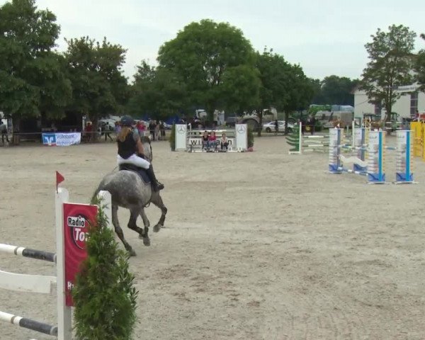 Reitturnier Rot am See-Musdorf 2016