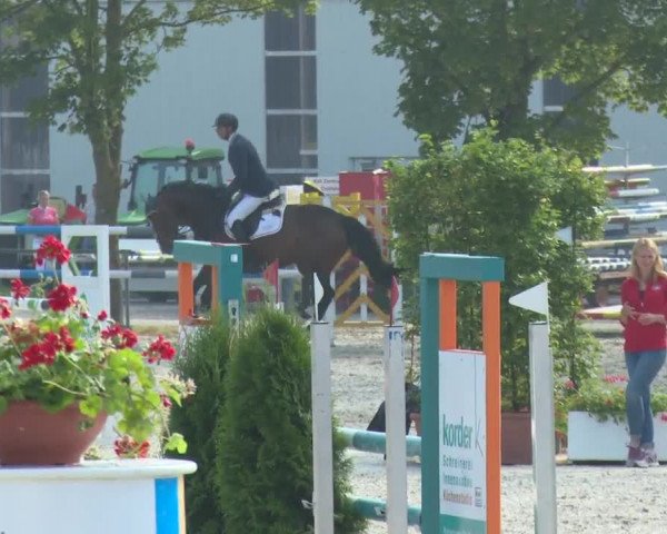 Reitturnier Rot am See-Musdorf 2016