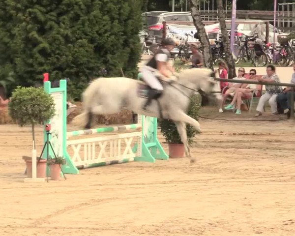 Großes Reit- und Springturnier Herbern 2016