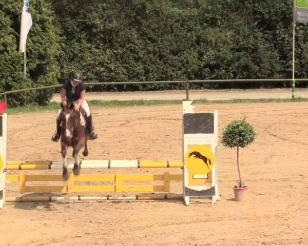 Großes Reit- und Springturnier Herbern 2016