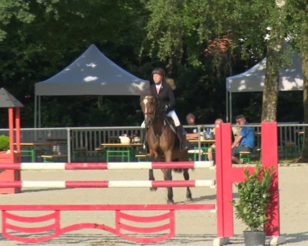 Reitturnier Rot am See-Musdorf 2016