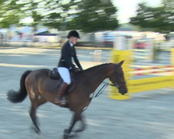 Reitturnier Rot am See-Musdorf 2016