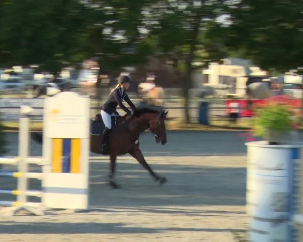Reitturnier Rot am See-Musdorf 2016