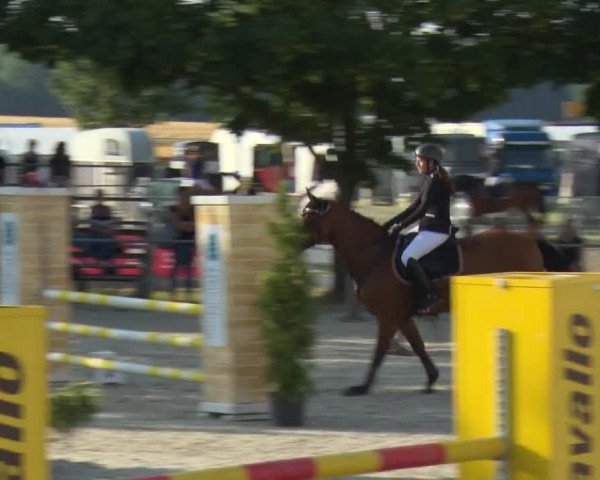 Reitturnier Rot am See-Musdorf 2016