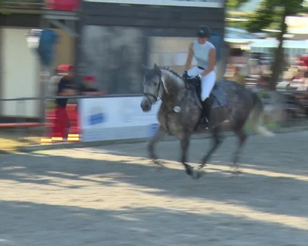 Reitturnier Rot am See-Musdorf 2016