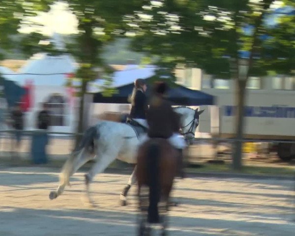 Reitturnier Rot am See-Musdorf 2016